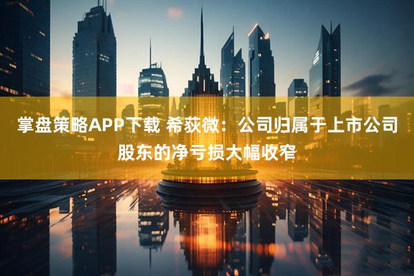 掌盘策略APP下载 希荻微：公司归属于上市公司股东的净亏损大幅收窄